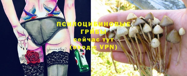 эйфоретик Богородицк